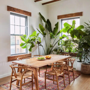 GHẾ ĂN CAO CẤP DINING CHAIR